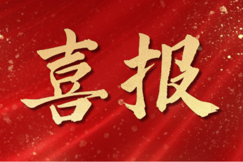 喜报 | 九洲集团富裕2*40MW生物质热电联产项目1#机组并网发电成功！